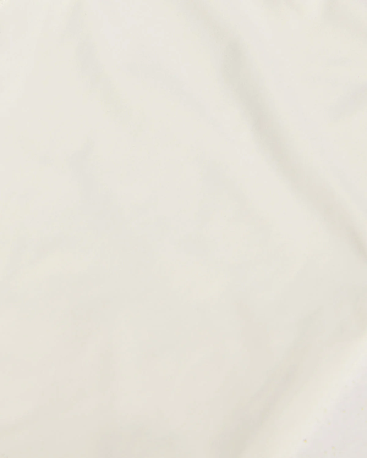 Freedom Shorts 5" | Vanilla - Image 8